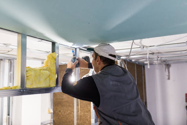 Best Spray Foam Insulation in Chevy Chase View, MD