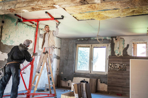 Best Geographic-Specific Insulation Services in Chevy Chase View, MD