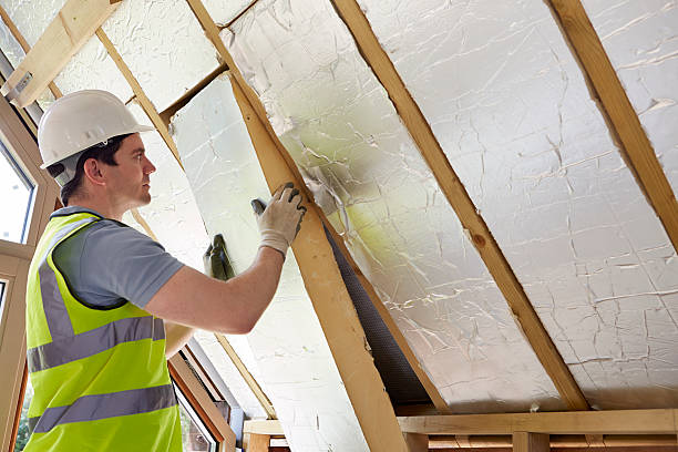 Best Insulation Maintenance and Repair in Chevy Chase View, MD