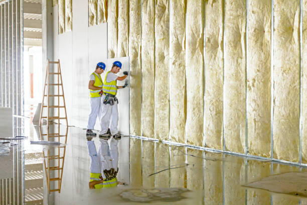 Best Residential Insulation in Chevy Chase View, MD